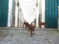 /album/galleria-fotografica/a66769-734675059879752-801173730-n-jpg/