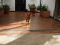 /album/galleria-fotografica/a1002912-734675039879754-287006406-n-jpg/