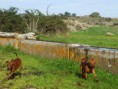 /album/galleria-fotografica/a1378327-734675823213009-1197553951-n-jpg/