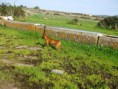 /album/galleria-foto-maggie1/a603964-734675456546379-515006610-n-jpg/
