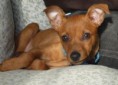 /album/galleria-foto-maggie1/immagine-jpg/